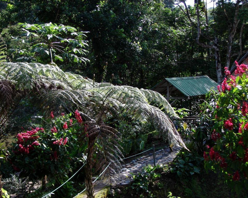 Playaselva Reserva Biologica Archidona Экстерьер фото