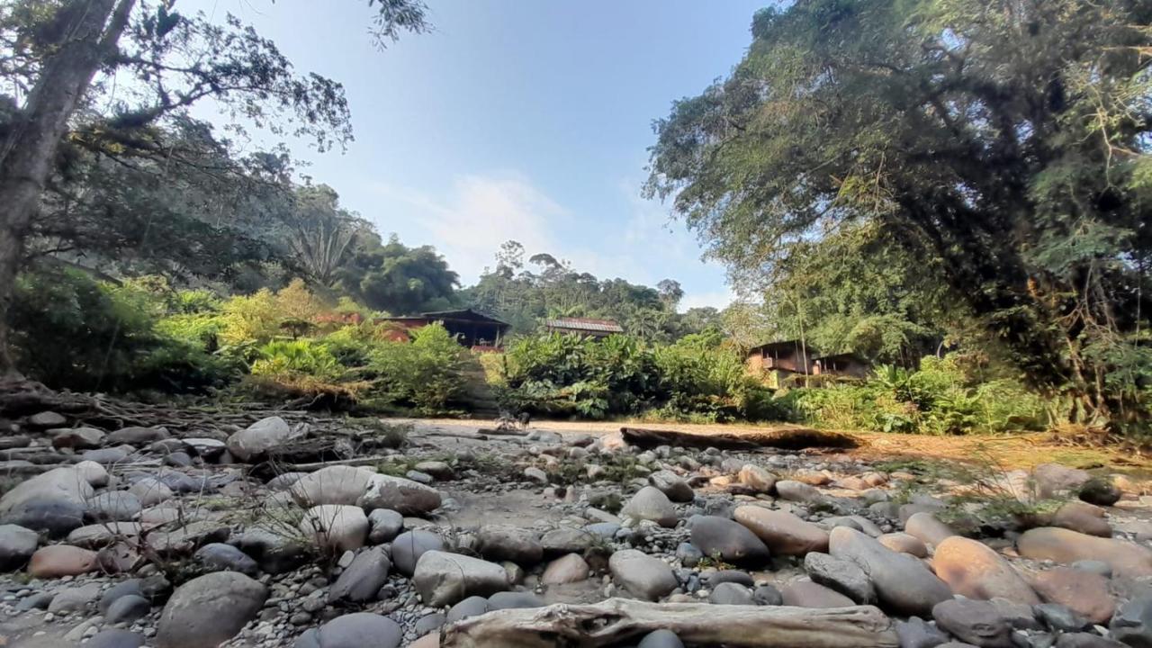 Playaselva Reserva Biologica Archidona Экстерьер фото
