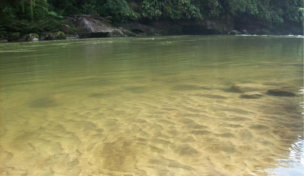 Вилла Playaselva Reserva Biologica Archidona Экстерьер фото